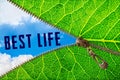 Best life word under zipper leaf