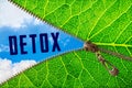 Detox word under zipper leaf Royalty Free Stock Photo