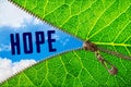 Hope word under zipper leaf Royalty Free Stock Photo