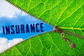 Insurance word under zipper leaf