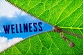 Wellness word under zipper leaf