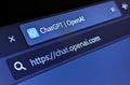 OpenAI ChatGPT artificial intelligence app renders a text prompt that describes itself as a language model