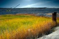 Opencast mine