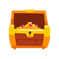 Opened antique treasure chest vector Illustration on a white background