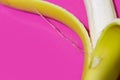 Opened banana close up top view on pink or purple background with copy space for text on the subject of health, nutrition or