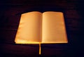 Opened Blank Book closeup Royalty Free Stock Photo