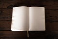 Opened Blank Book closeup Royalty Free Stock Photo