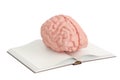 Opened blank book with human brain, 3D rendering Royalty Free Stock Photo