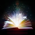Opened Book With colored  highlights Royalty Free Stock Photo