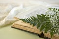 Opened Book with Fern Leaf and Baby Breath Flowers Royalty Free Stock Photo