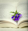 Opened book with flower as a bookmark Royalty Free Stock Photo