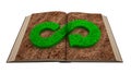 Opened book. Grass infinity arrow on soil page. 3D illustration