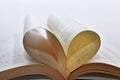 Opened book with heart form sheets. Royalty Free Stock Photo