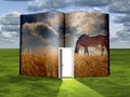 Opened book with Horse Royalty Free Stock Photo