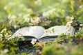 Opened book lays in the beautiful meadow of blooming wild strawberries Royalty Free Stock Photo