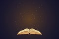 Opened Book With Magic Lights Royalty Free Stock Photo