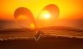 Opened book close up on sunset background Royalty Free Stock Photo