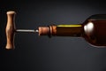 Bottle of white wine and old corkscrew Royalty Free Stock Photo