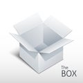 Opened box icon with shadow, vector Royalty Free Stock Photo