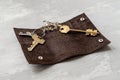 Opened brown leather key holder Royalty Free Stock Photo