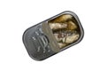 Opened can with sardines fish isolated with clipping path