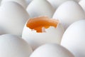 Opened chicken egg with yolk among white eggs in cardboard tray Royalty Free Stock Photo