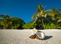 Opened coconut on the sandy beach of tropical island