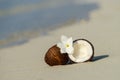 Opened coconut on the sandy beach of tropical island