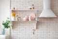 Opened cupboard with white kitchenware inside. brick wall, shelves and range hood Royalty Free Stock Photo