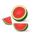 Opened cut watermelon, clipart, vector, cartoon fresh green watermelon half, three pieces red watermelon slices. vector,