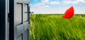 Opened door concept with greeny country and poppy Royalty Free Stock Photo