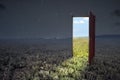 Opened door with a view of the daytime on the meadow