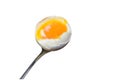 A opened egg on a silver spoon on a white background Royalty Free Stock Photo