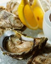 Opened fresh oysters with lemon on dish. Shallow dof