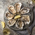 Opened fresh raw oysters on gray plate served with lemon and white wine Royalty Free Stock Photo