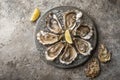 Opened fresh raw oysters on gray plate served with lemon and white wine Royalty Free Stock Photo