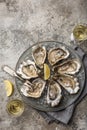 Opened fresh raw oysters on gray plate served with lemon and white wine Royalty Free Stock Photo