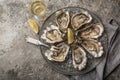 Opened fresh raw oysters on gray plate served with lemon and white wine Royalty Free Stock Photo