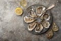 Opened fresh raw oysters on gray plate served with lemon and white wine Royalty Free Stock Photo