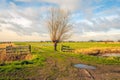 Opened gate in a Dutch polder landscape Royalty Free Stock Photo