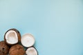 Opened glass jar with fresh coconut oil and ripe coconuts on blue background. Royalty Free Stock Photo