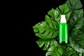 Opened green Bottle with tropical monstera leaf on isolated black background close up. Brand packaging mockup. Aromatic oil, Royalty Free Stock Photo