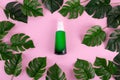 Opened green Bottle with tropical monstera leaf on isolated pink background close up. Brand packaging mockup. Aromatic oil, Royalty Free Stock Photo