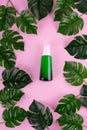 Opened green Bottle with tropical monstera leaf on isolated pink background close up. Brand packaging mockup. Aromatic oil, Royalty Free Stock Photo