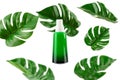Opened green Bottle with tropical monstera leaf on isolated white background close up. Brand packaging mockup. Aromatic oil, Royalty Free Stock Photo