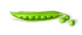 Opened green pea pod and peas top view Royalty Free Stock Photo