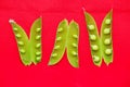 Opened green pea pods on vivid red