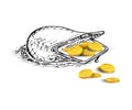 Opened hand drawn purse with golden coins. Vector illustration.