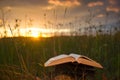 Opened hardback book diary, fanned pages on blurred nature lands