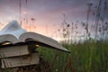 Opened hardback book diary, fanned pages on blurred nature lands Royalty Free Stock Photo